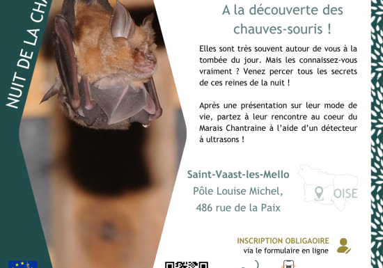 Sortie nature | « A la découverte des chauve-souris ! »