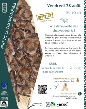 Sortie nature | « A la découverte des chauve-souris ! »