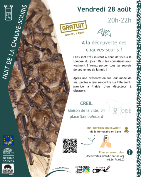 Sortie nature | « A la découverte des chauve-souris ! »