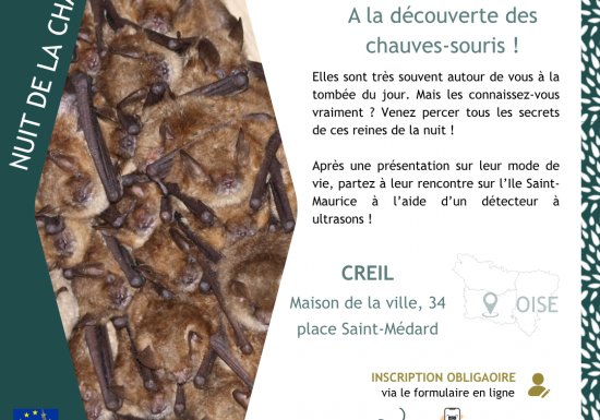 Sortie nature | « A la découverte des chauve-souris ! »