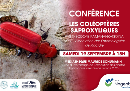 Conférence | « Les coléoptères saproxyliques »