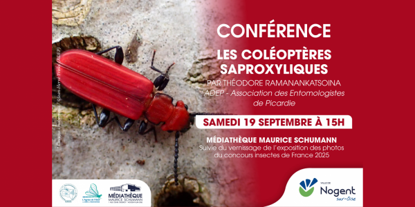 Conférence | « Les coléoptères saproxyliques »