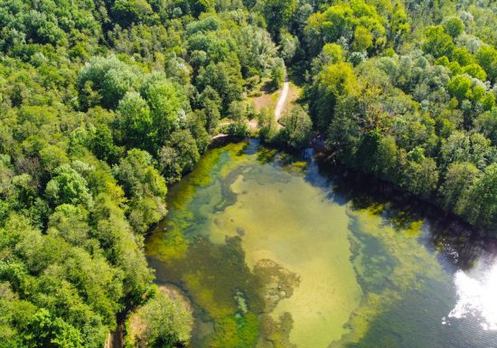 Marais de Chantraine