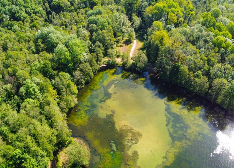 Marais de Chantraine - Droit d'auteur : Office de Tourisme Creil Sud Oise_Anthony