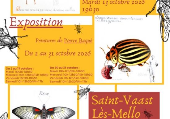 Exposition | Peintures de Pierre Baqué