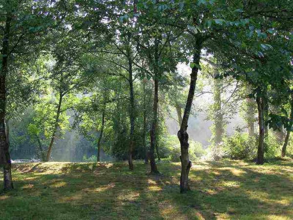 Conférence « Les recherches archéologiques LiDAR en forêts de Chantilly et Pontarmé »