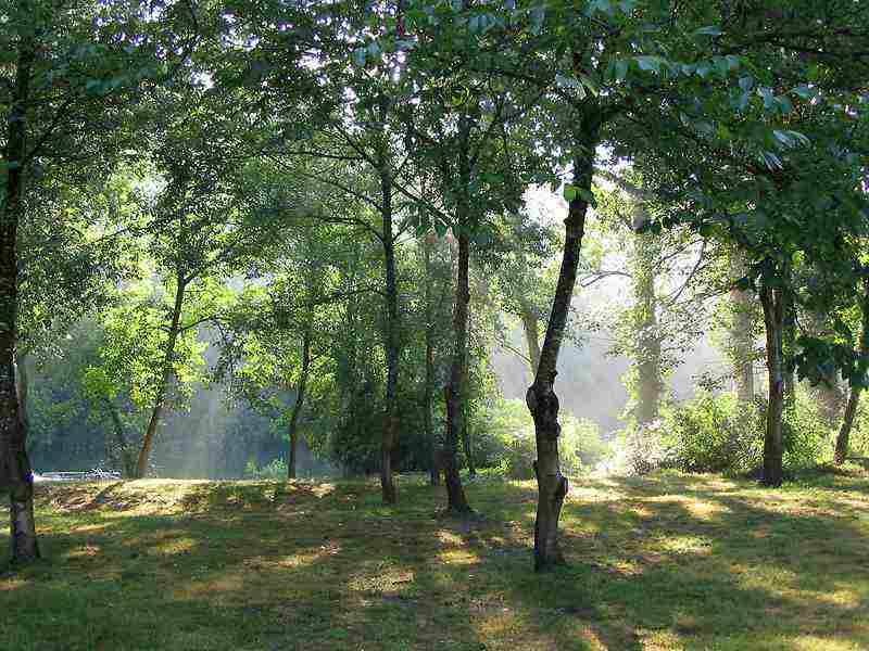 Conférence « Les recherches archéologiques LiDAR en forêts de Chantilly et Pontarmé