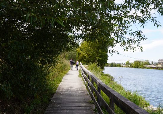 Ile Saint-Maurice Park