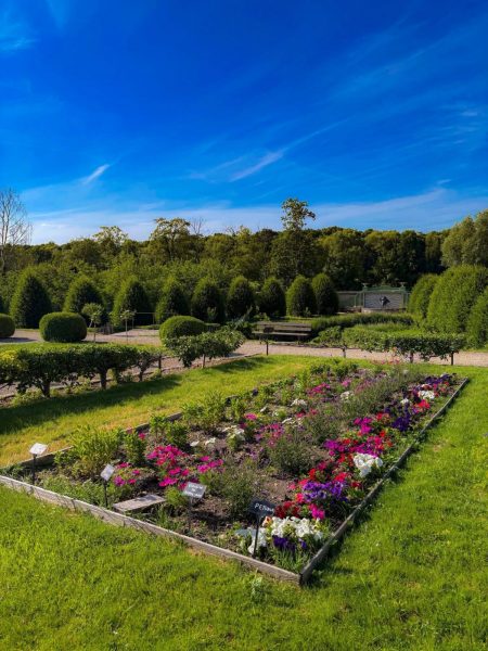 L’été au Potager des Princes