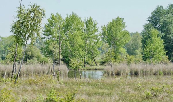 Marais de Sacy « A vol d&rsquo;oiseaux »