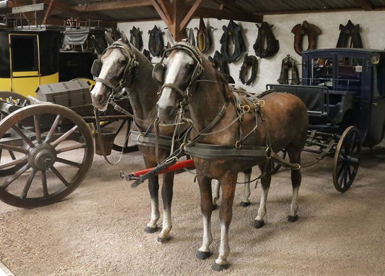 Musée du cheval de trait - Copyright : ©ccpoh