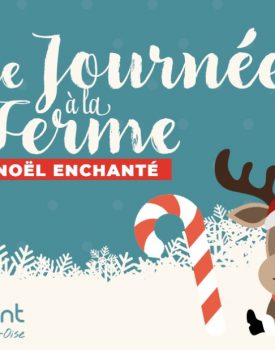 Weihnachtsfeierlichkeiten | Ein Tag auf dem Bauernhof in Erwartung von Weihnachten