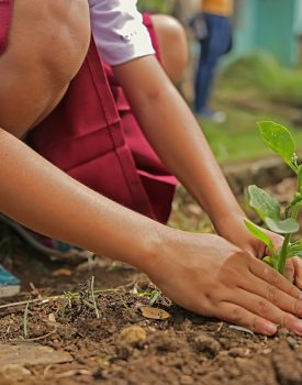 Atelier | Se lancer dans le jardinage (même en appartement!)