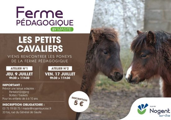 Activité de l&rsquo;été | Les petits cavaliers