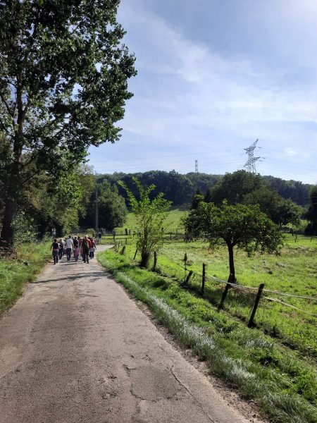 Randonnée "le chemin des sources à Angicourt".