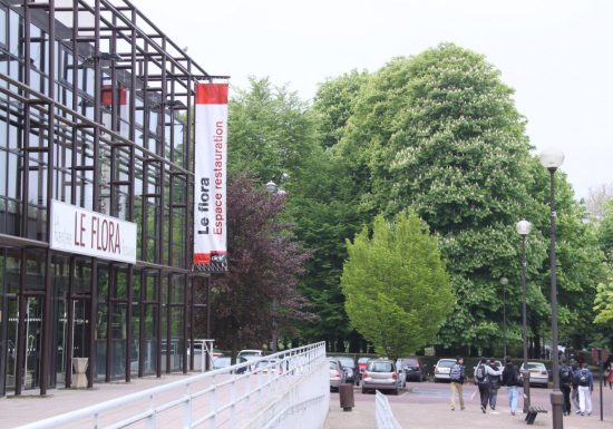 Le Flora (La mosaïk en fusion)