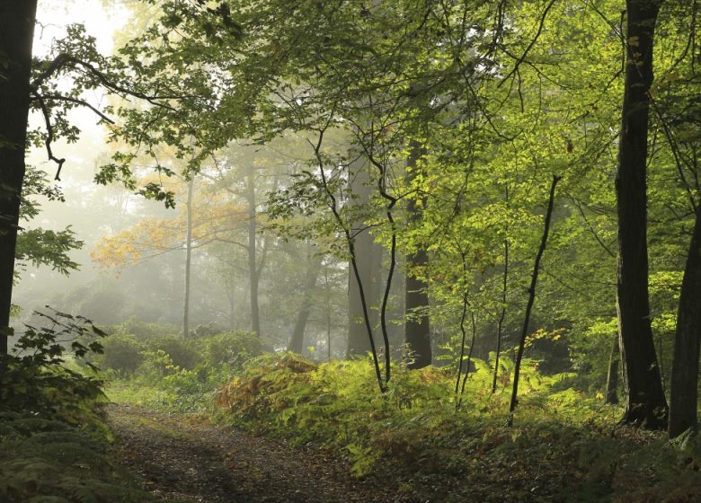 Le massif des trois forêts